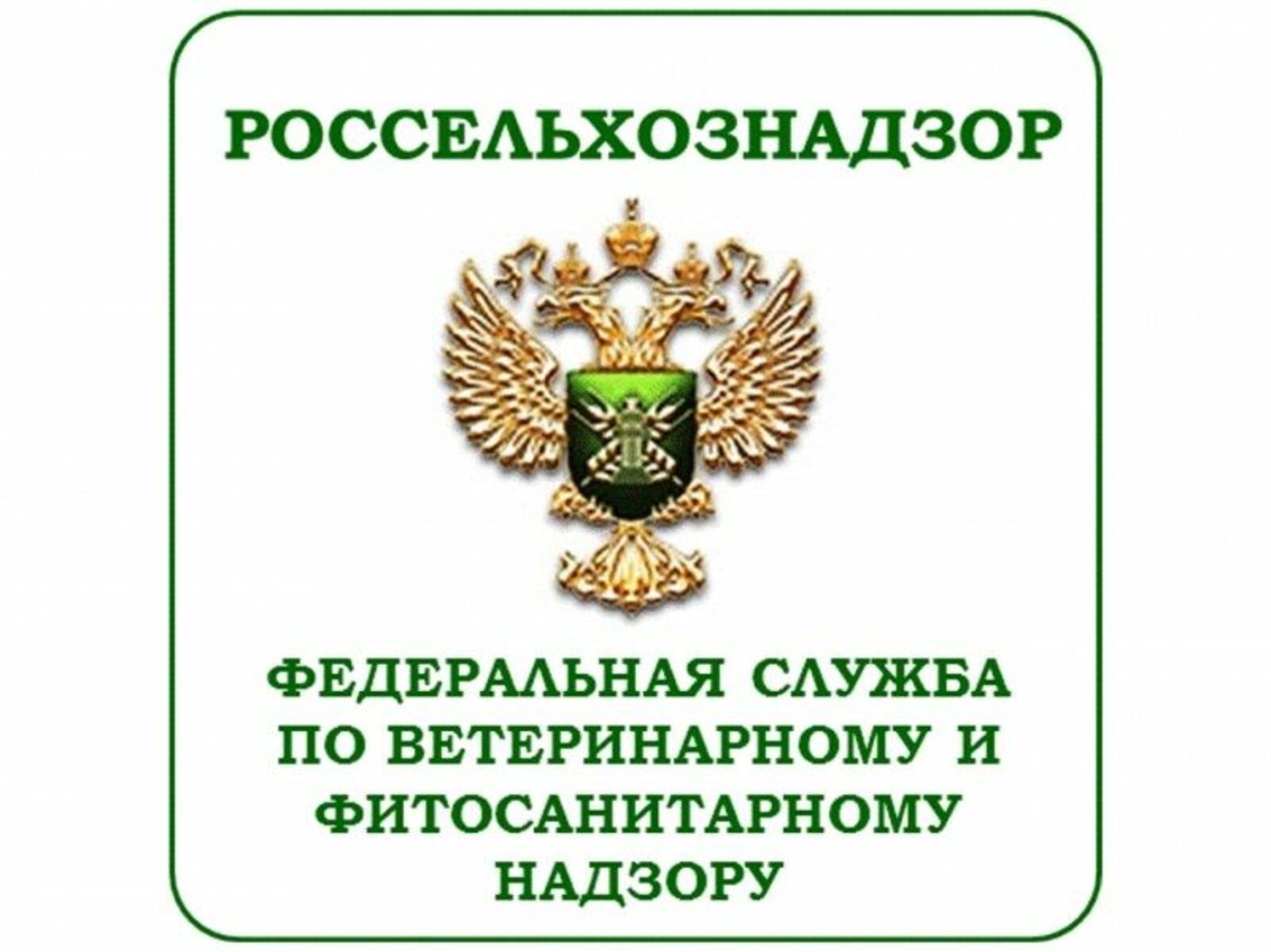 17 тонн зараженных опасным вирусом томатов из Казахстана выявили специалисты Алтайского филиала ЦОК АПК.