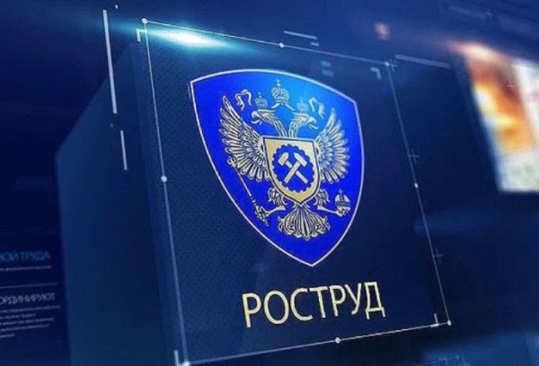 Отмечены случаи направления в адрес контролируемых лиц нелегитимных распоряжений о проведении проверки. Отмечены случаи направления в адрес контролируемых лиц нелегитимных распоряжений о проведении проверки.